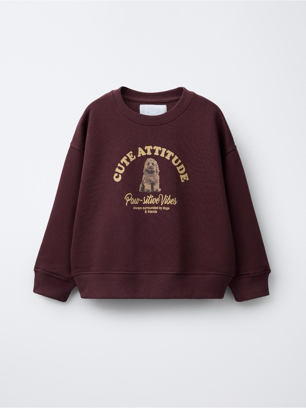 Zara Cute Attitude Maroon Kids Sweatshirt - Cute Puppy Graphic Size 13-14